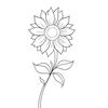syntchaa