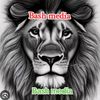 Bashi media