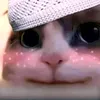 ciddd_10