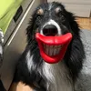 border_kay