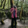 dkaa_dk