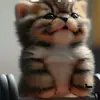 1410_unit