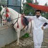 imranbhatti1472