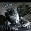 dyifxxk683cx