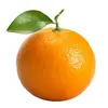 jvmorera