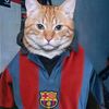 Football TZY