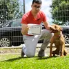 overdadeiropitbull