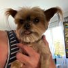 dorisrobertson5