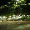 lamm_tzy_03