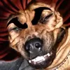 vchvhvgvfb__0