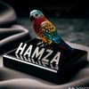 hamza28ha