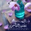 dy2ty726a8tg