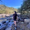 alynetorress
