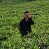 ipn_cuplikan