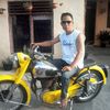 palar229