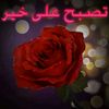 user5118209948506