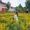 junika_366