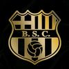 fabriciovincescan
