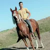 ابو فاهم الفتلاوي