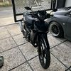 cemani500