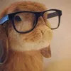 naomeiry