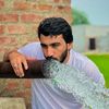 ali.h7n