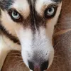josie_s64