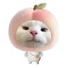 appleuser37944640