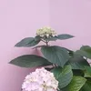 userqawbxsx63p