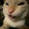 xxpepitogameplays2007xx