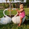 user556097724