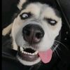 dpaafffffaaaaa