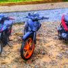 shogun_tempur