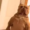 oozingoscar1