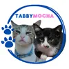 ✨TABBYMOCHA🐾