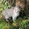 leonore.0303