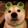 shakal9_9