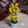 aprilinda04