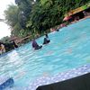 bisauqin