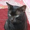 blacckboyy