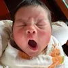 dinh_mlinh