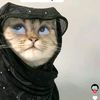heblaaayo5