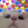 mariaxedu