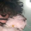 david_444fox_