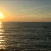 just_7ama511
