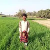 tahirm193