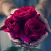 umahmed686