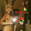 kevin_ctm09