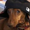 anderson_realg4lite