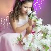 shamalhoua